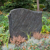 Revolution Peak